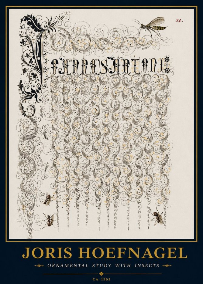 Joris Hoefnagel Ornamental Study with Insects No3 - Plakat