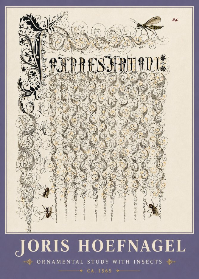 Joris Hoefnagel Ornamental Study with Insects No6 - Plakat
