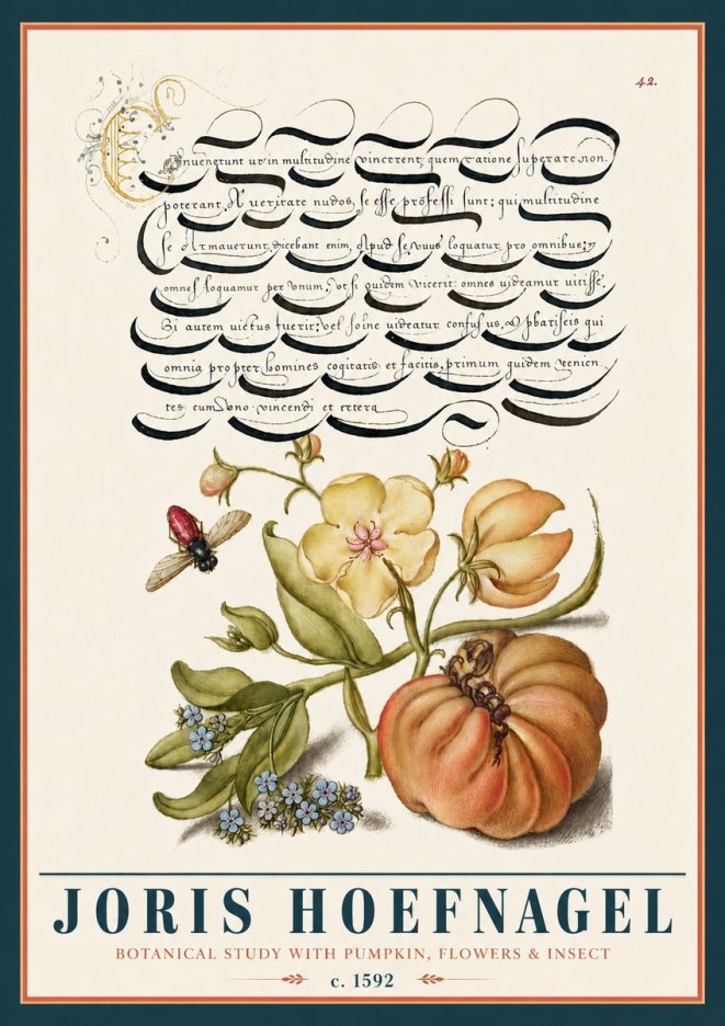 Joris Hoefnagel Botanical Study with Pumpkin, Flowers & Insect No5 - Plakat