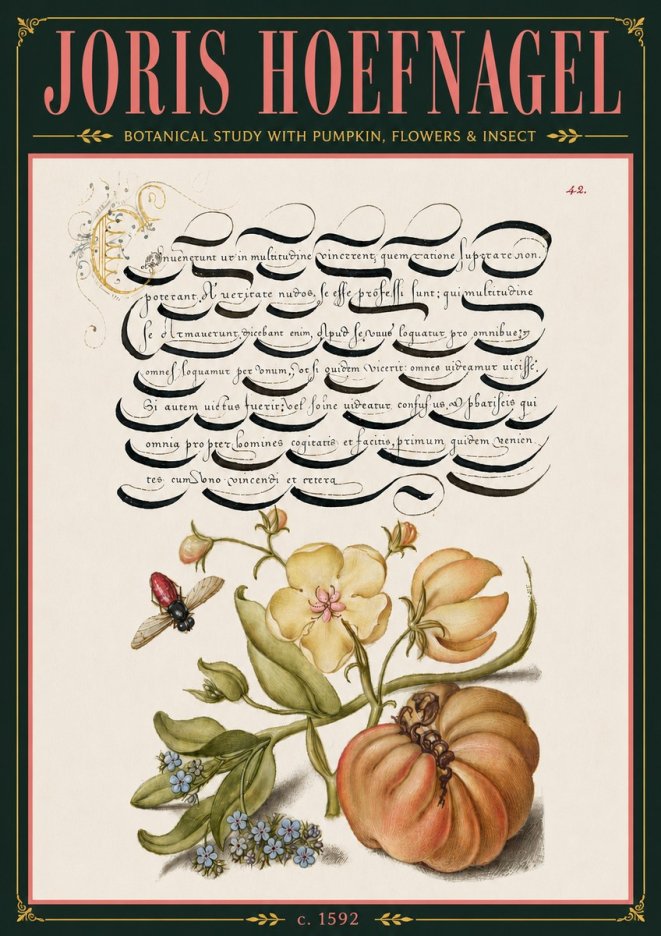 Joris Hoefnagel Botanical Study with Pumpkin, Flowers & Insect No6 - Plakat