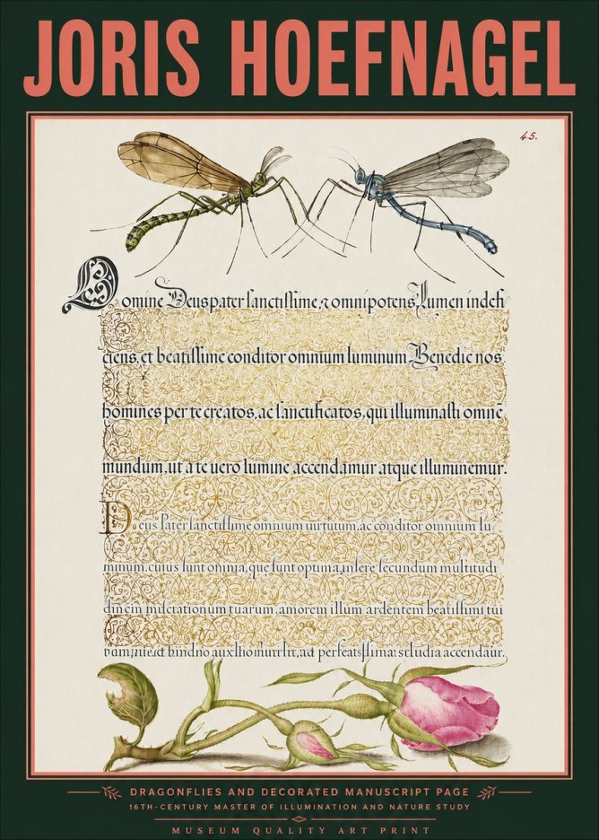 Joris Hoefnagel Dragonflies and Decorated Manuscript Page No3 - Plakat