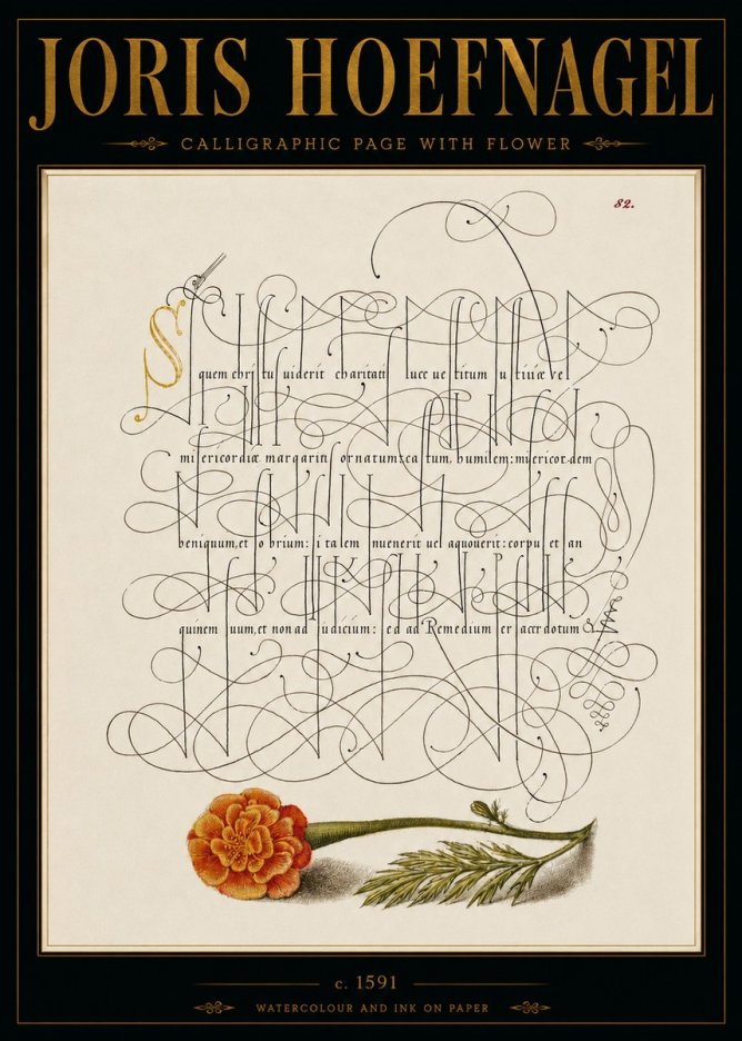 Joris Hoefnagel Calligraphic Study with Marigold No6 - Plakat