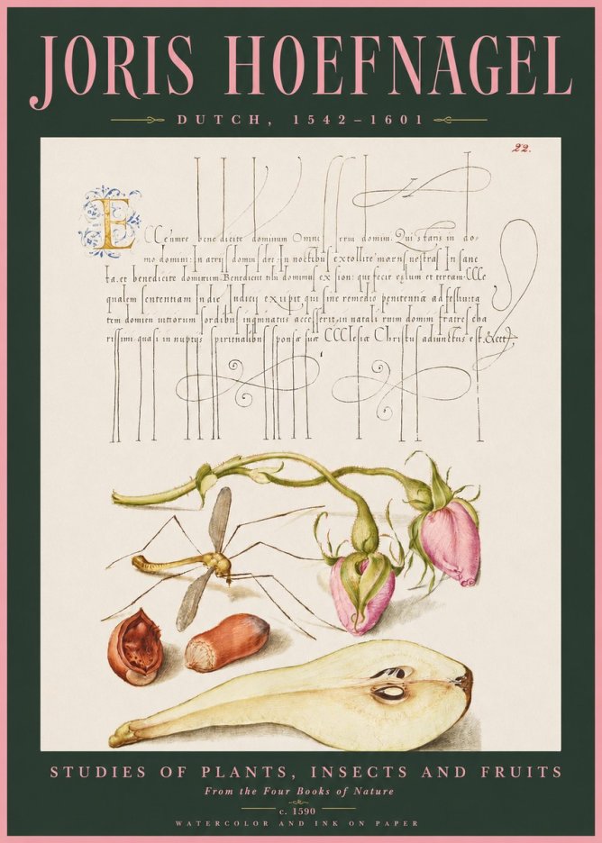 Joris Hoefnagel Studies of Plants, Insects and Fruits No2 - Plakat