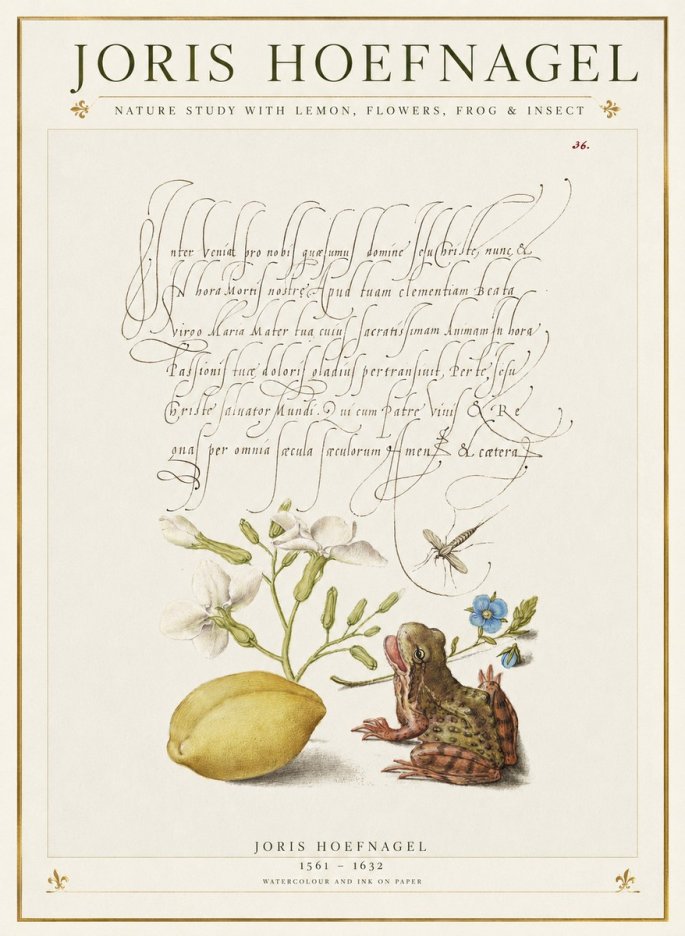 Joris Hoefnagel Nature Study with Lemon, Flowers, Frog & Insect No1 - Plakat