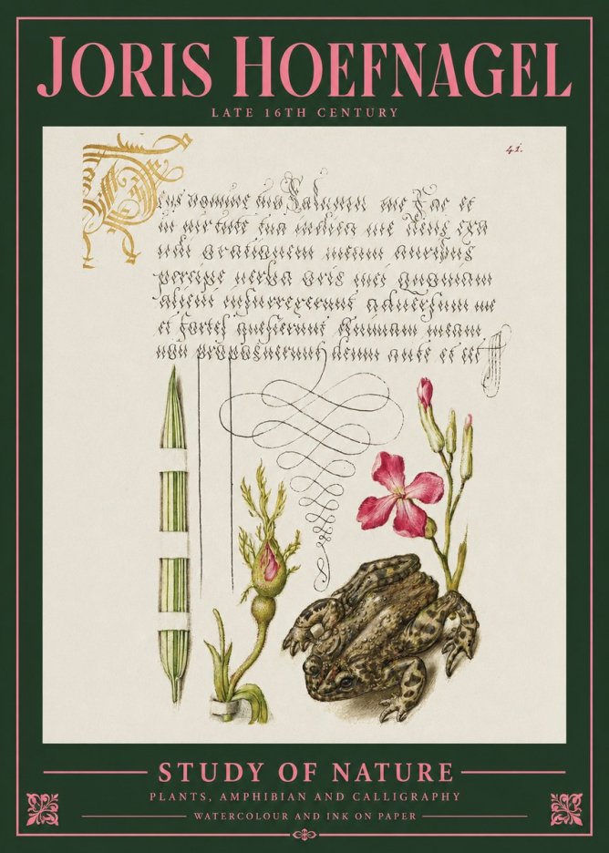 Joris Hoefnagel Study of Nature I No2 - Plakat