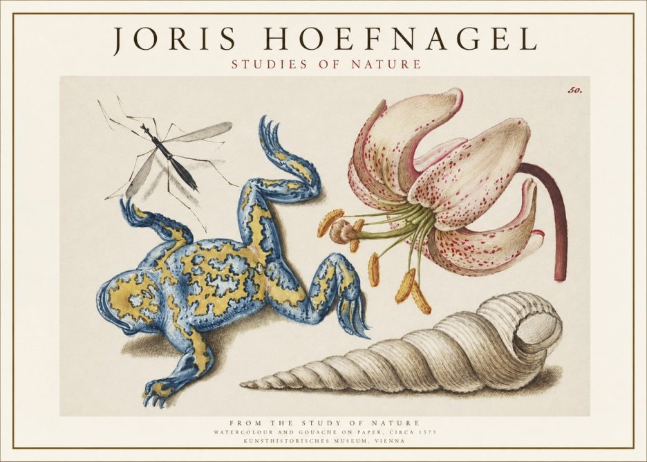 Joris Hoefnagel From the Study of Nature No1 - Plakat