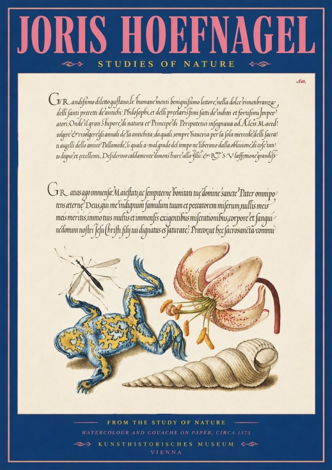 Joris Hoefnagel From the Study of Nature No2 - Plakat