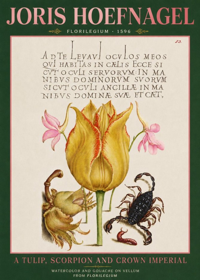 Joris Hoefnagel A Tulip, Scorpion and Crown Imperial No3 - Plakat