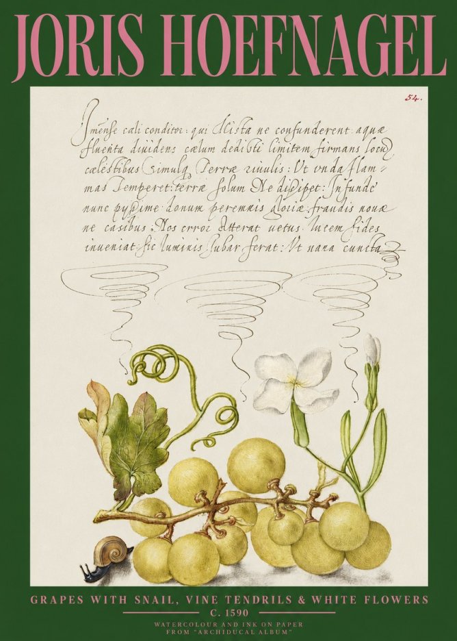 Joris Hoefnagel Grapes with Snail, Vine Tendrils & White Flowers No2 - Plakat