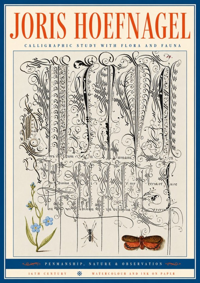Joris Hoefnagel Calligraphic Study with Flora and Fauna No5 - Plakat