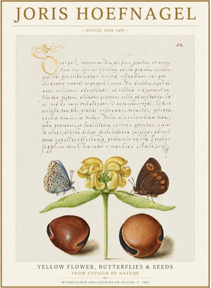 Joris Hoefnagel Yellow Flower, Butterflies & Seeds No1 - Plakat