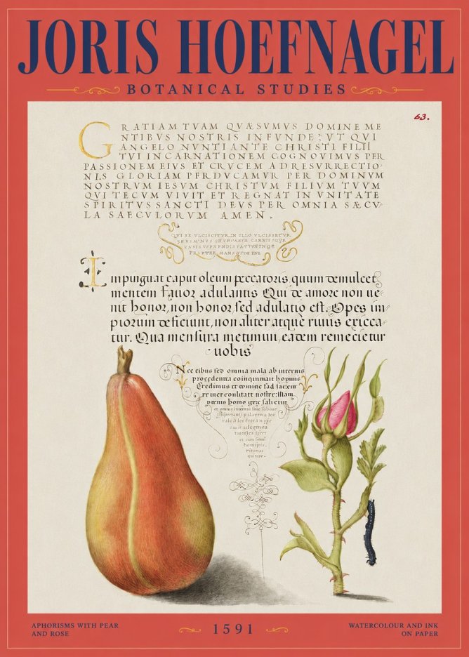 Joris Hoefnagel Aphorisms with Pear and Rose No2 - Plakat