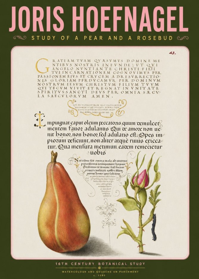 Joris Hoefnagel Aphorisms with Pear and Rose No4 - Plakat