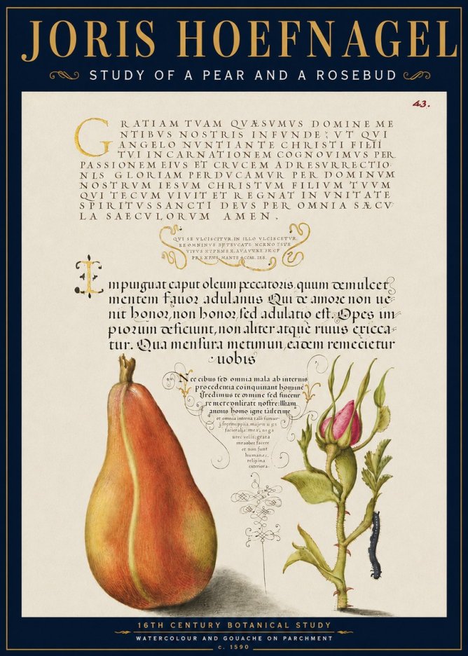 Joris Hoefnagel Aphorisms with Pear and Rose No6 - Plakat