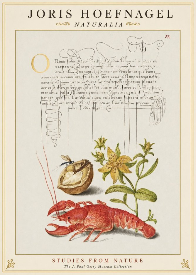 Joris Hoefnagel Studies from Nature No1 - Plakat