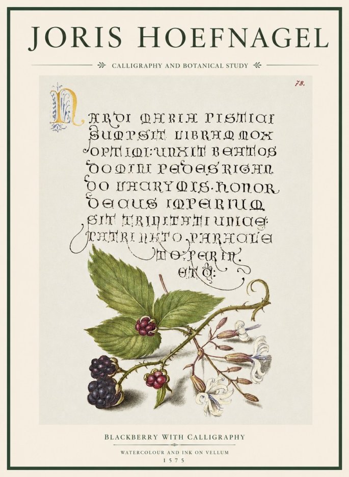 Joris Hoefnagel Calligraphy and Botanical Study II No5 - Plakat