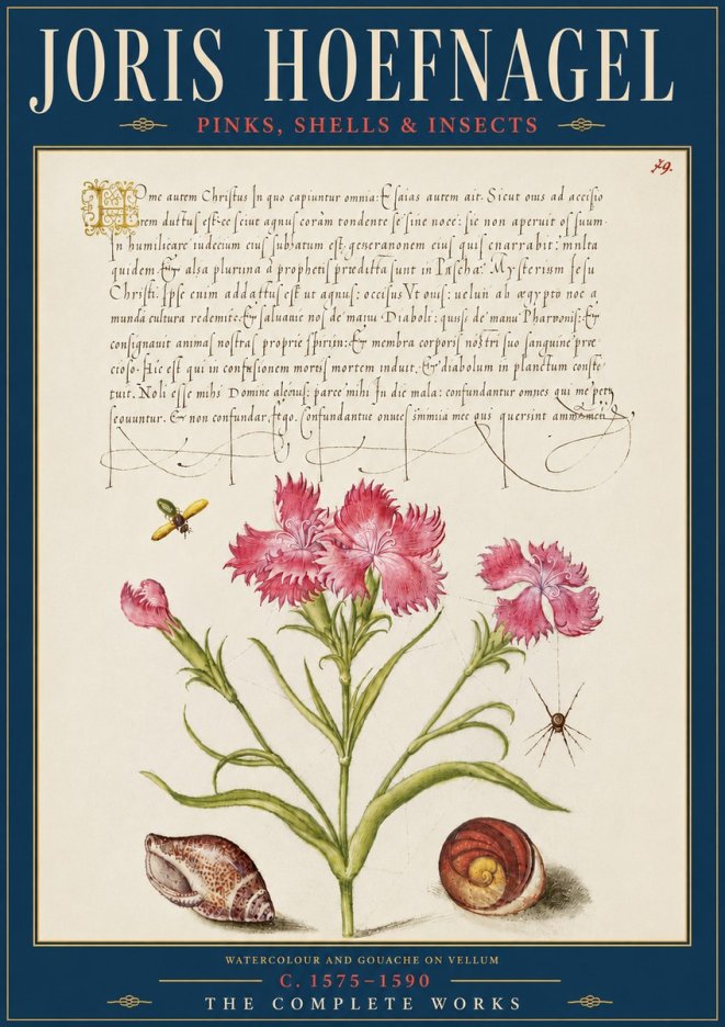 Joris Hoefnagel Pinks, Shells & Insects No5 - Plakat