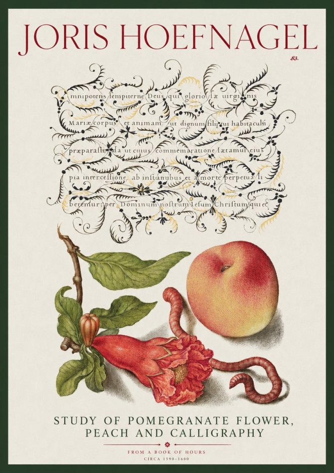 Joris Hoefnagel Study of Pomegranate Flower, Peach and Calligraphy from a Book of Hours No2 - Plakat