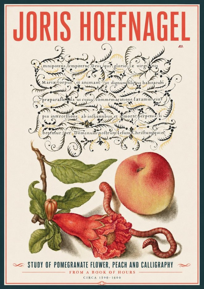 Joris Hoefnagel Study of Pomegranate Flower, Peach and Calligraphy from a Book of Hours No4 - Plakat