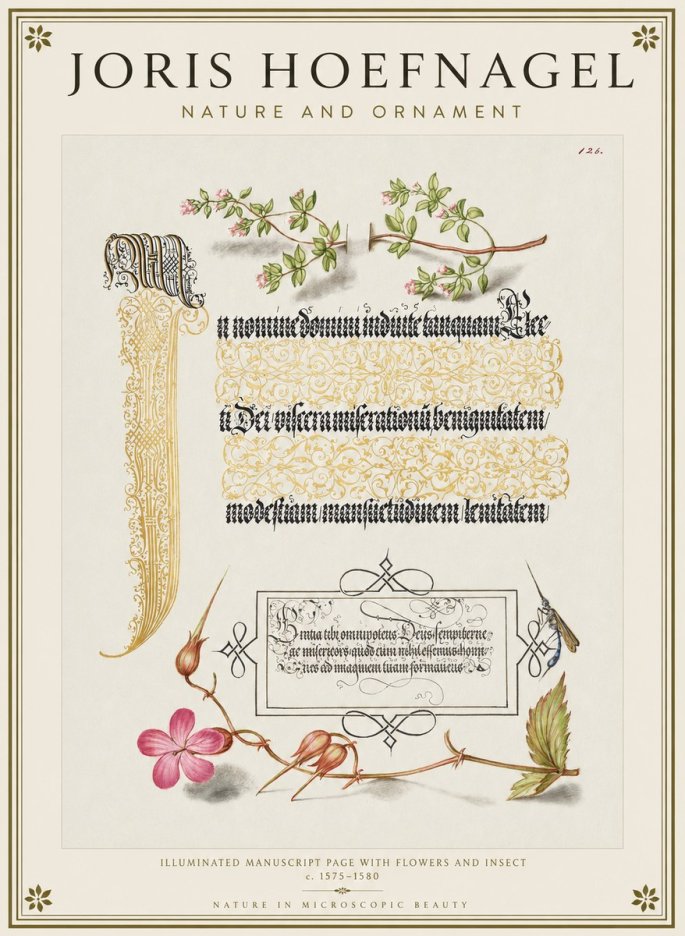 Joris Hoefnagel Illuminated Manuscript Page with Flowers and Insect No1 - Plakat