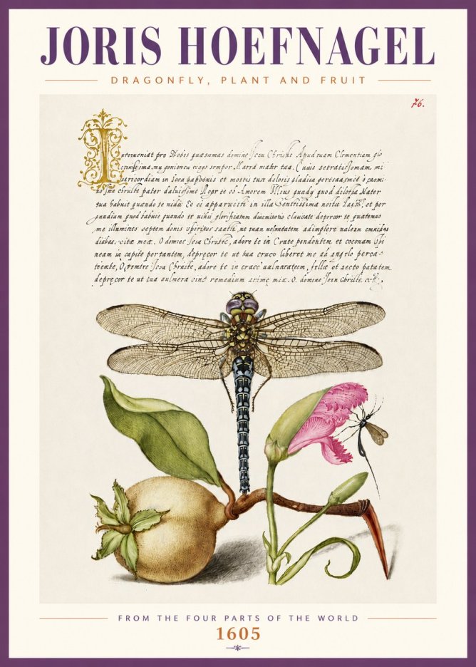 Joris Hoefnagel Dragonfly, Plant and Fruit No4 - Plakat