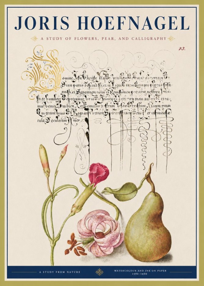 Joris Hoefnagel Botanical Study with Calligraphy II No4 - Plakat