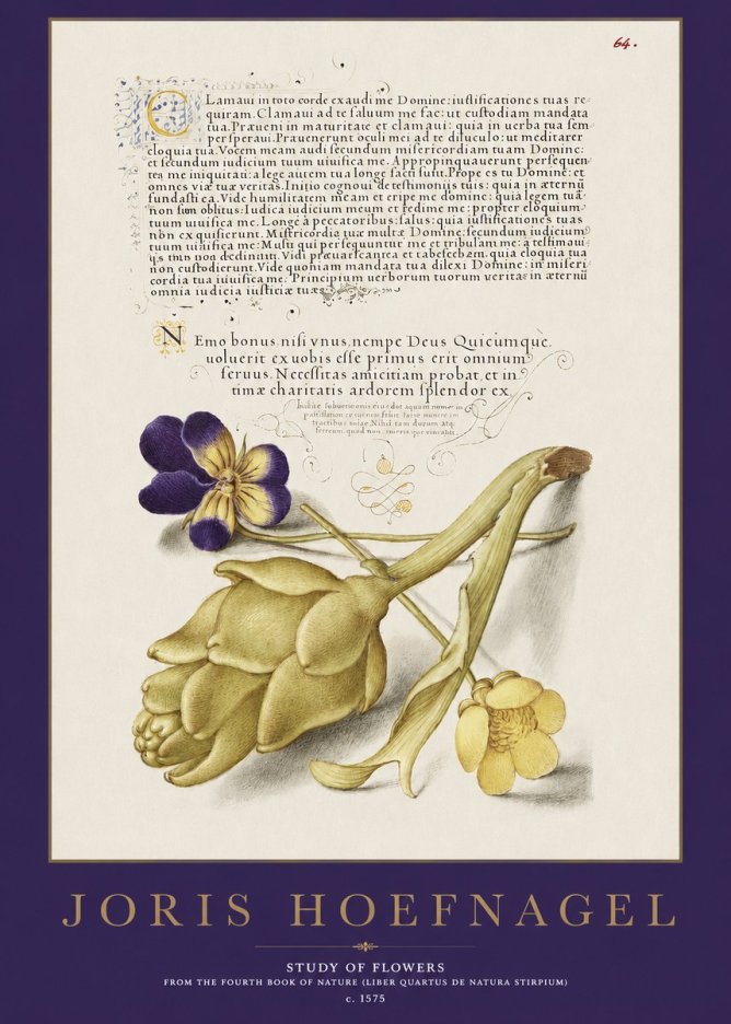 Joris Hoefnagel Botanical Study with Calligraphy III No3 - Plakat