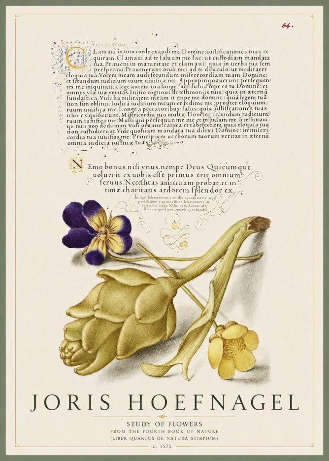Joris Hoefnagel Botanical Study with Calligraphy III No5 - Plakat