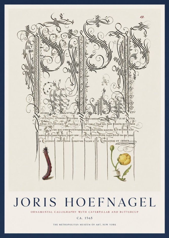 Joris Hoefnagel Ornamental Calligraphy with Caterpillar and Buttercup No1 - Plakat