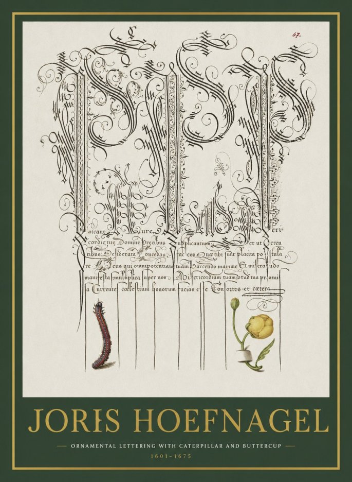 Joris Hoefnagel Ornamental Calligraphy with Caterpillar and Buttercup No2 - Plakat