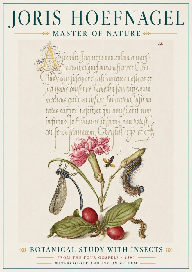 Joris Hoefnagel Botanical Study with Insects No5 - Plakat