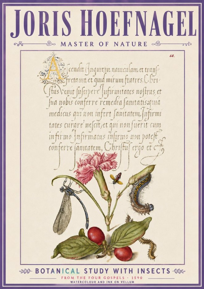 Joris Hoefnagel Botanical Study with Insects No6 - Plakat