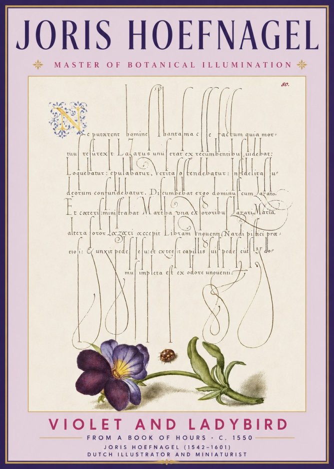 Joris Hoefnagel Violet and Ladybird No3 - Plakat