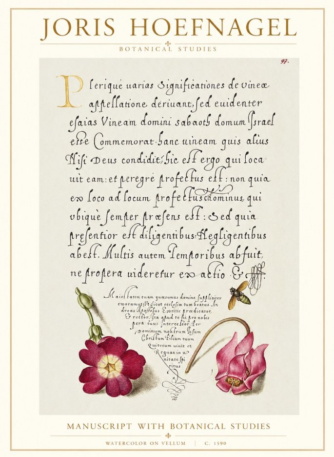 Joris Hoefnagel Manuscript with Botanical Studies No1 - Plakat