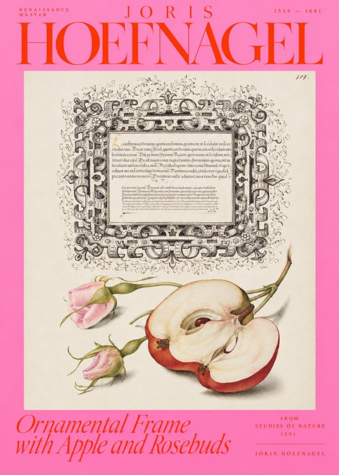 Joris Hoefnagel Illuminated Calligraphy and Botanical Study No4 - Plakat
