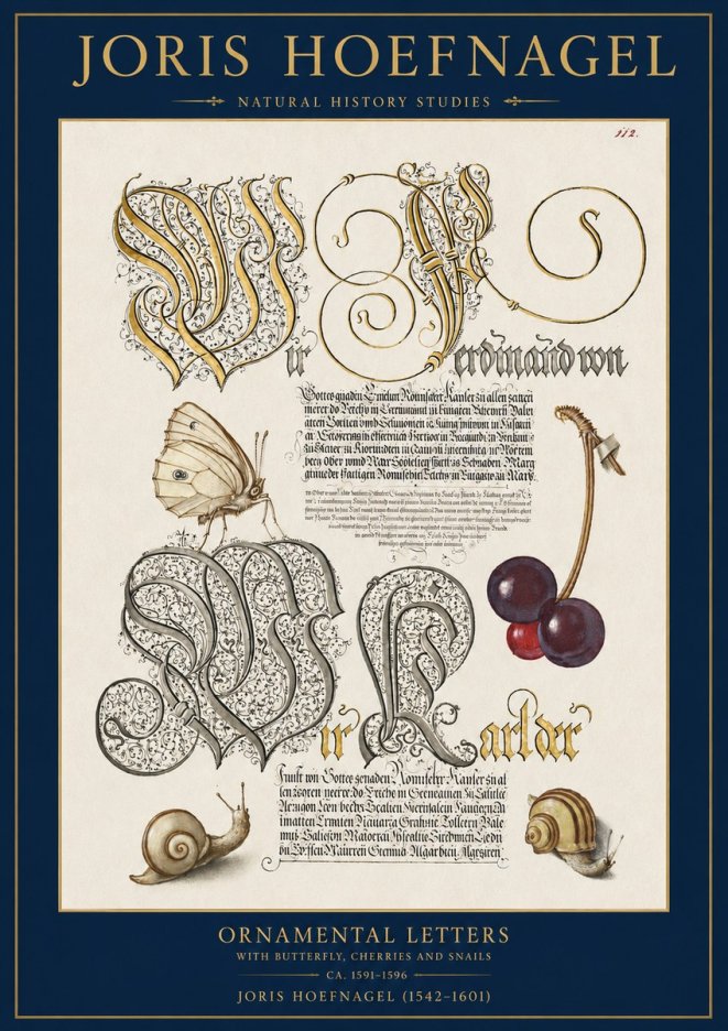 Joris Hoefnagel Ornamental Letters with Butterfly, Cherries and Snails No2 - Plakat