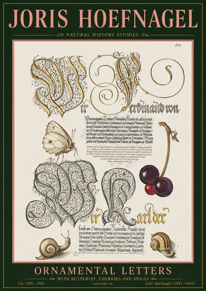Joris Hoefnagel Ornamental Letters with Butterfly, Cherries and Snails No5 - Plakat