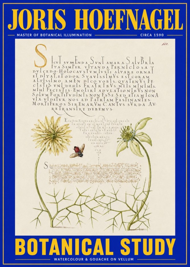 Joris Hoefnagel Botanical Study with Insect No4 - Plakat