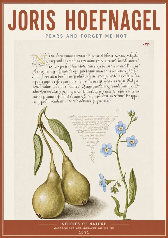 Joris Hoefnagel Pears and Forget-me-not No5 - Plakat