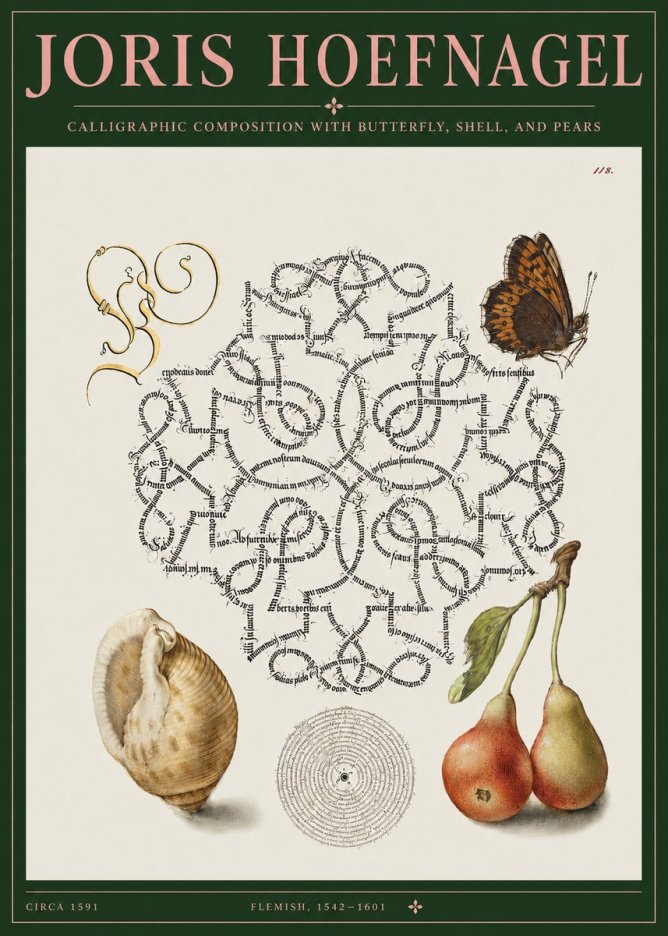 Joris Hoefnagel Calligraphic Composition with Butterfly, Shell, and Pears No3 - Plakat