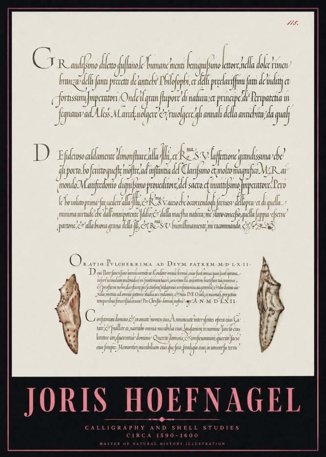 Joris Hoefnagel Study of Shells and Calligraphy No5 - Plakat