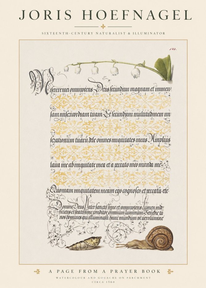 Joris Hoefnagel Lily of the Valley, Snail and Caterpillar No6 - Plakat