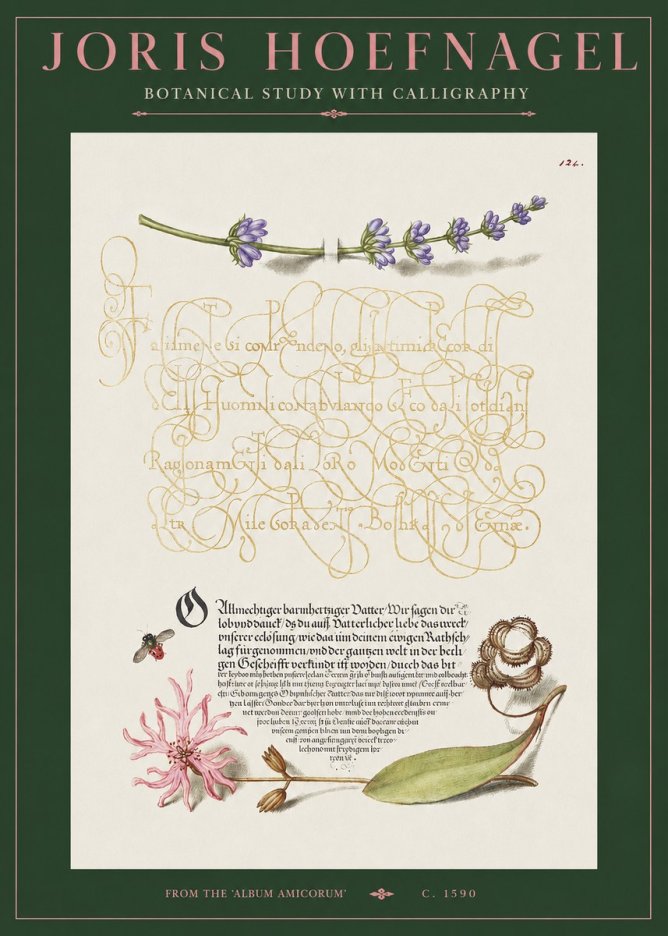 Joris Hoefnagel Botanical Study with Calligraphy IV No2 - Plakat