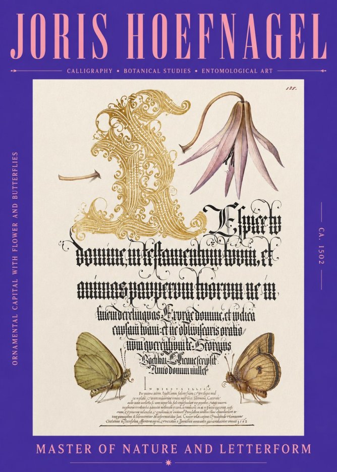 Joris Hoefnagel Ornamental Capital with Flower and Butterflies No2 - Plakat