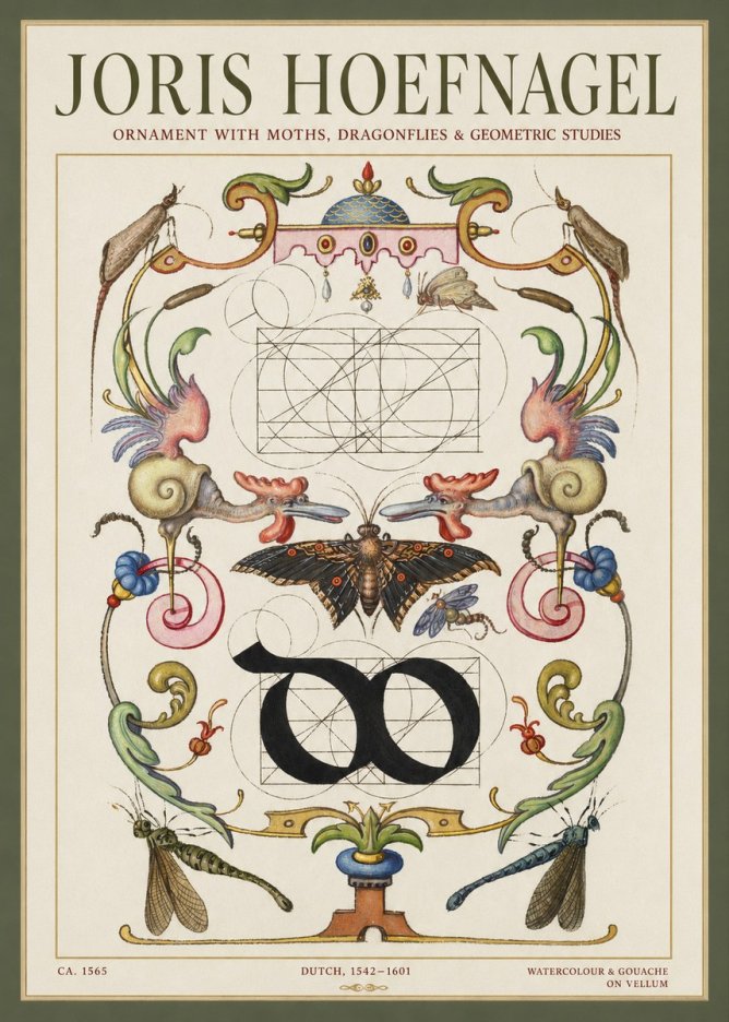 Joris Hoefnagel Ornament with Moths, Dragonflies & Geometric Studies No1 - Plakat