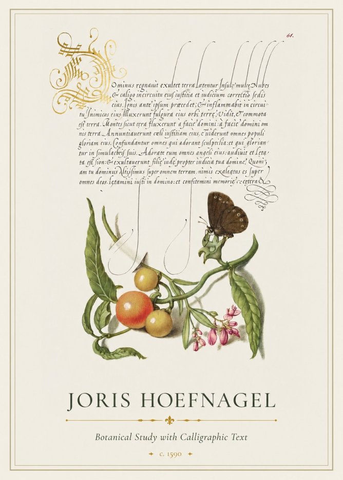 Joris Hoefnagel Botanical Study with Calligraphic Text No1 - Plakat