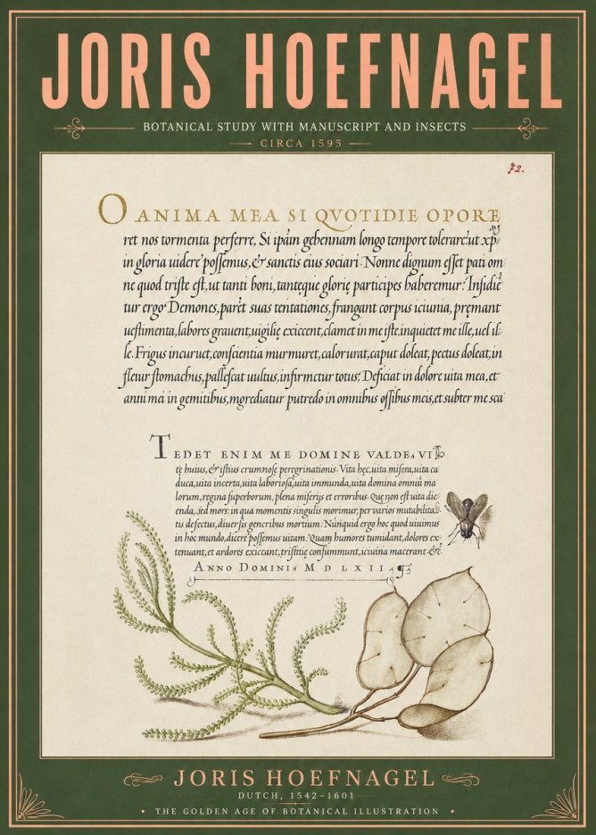 Joris Hoefnagel Botanical Study with Manuscript and Insects No6 - Plakat