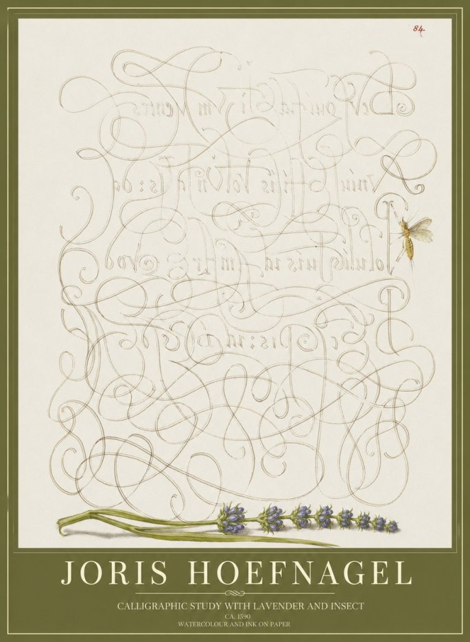 Joris Hoefnagel Calligraphic Study with Insect and Flower No5 - Plakat