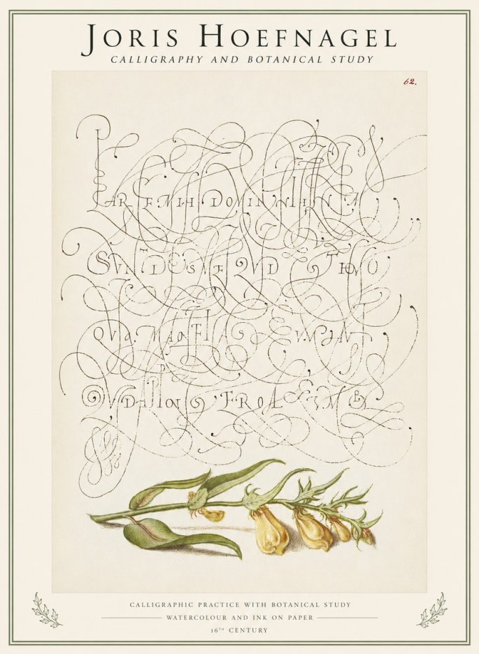 Joris Hoefnagel Calligraphic Practice with Botanical Study No1 - Plakat