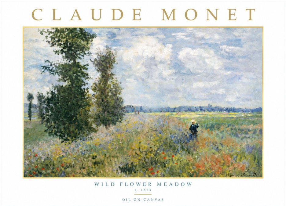 Monet Wild Flower Meadow No6 - Plakat